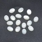 Shell Cabochons