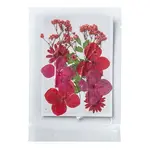Pressed Dried Flowers