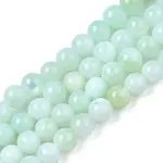 Natural Freshwater Shell Beads Strands
