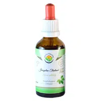 SALVIA PARADISE Jiaogulan Thailand Ženšen pětilistý tinktura 50 ml