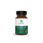 Trúdnikovec pestrý Coriolus - 120 kapsúl - Green idea