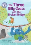 Reading Champion: The Three Billy Goats and the Broken Bridge - kniha z kategorie Pro děti