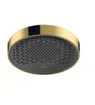 Hansgrohe Rainfinity - Hlavová sprcha 250, 1 proud, leštěný vzhled zlata 26228990