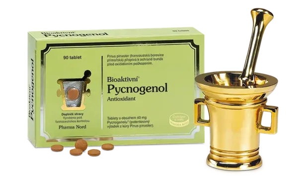 Bioaktivní Pycnogenol 90 tablet