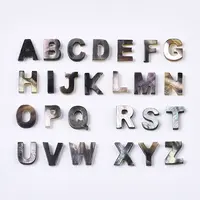 Natural Black Lip Shell Beads