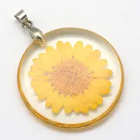 Alloy Resin Pendants