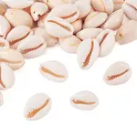 Natural Cowrie Shell Beads