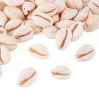 Natural Cowrie Shell Beads