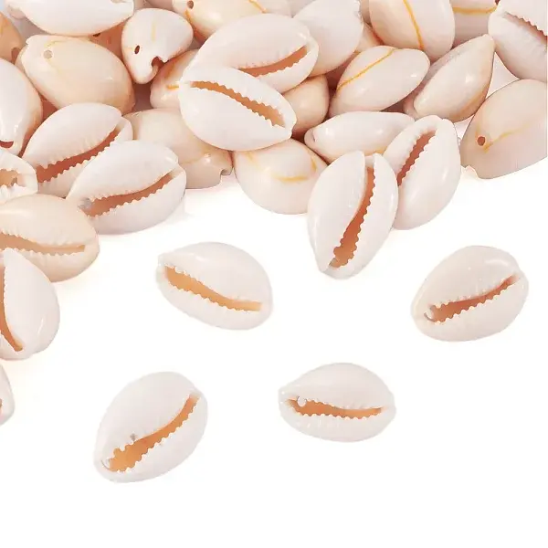 Natural Cowrie Shell Beads