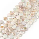Electroplated Natural Freshwater Shell Beads Strands