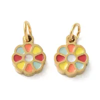 Ion Plating(IP) 304 Stainless Steel Enamel Charms