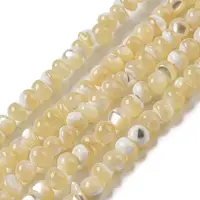 Natural Trochus Shell Beads Strands