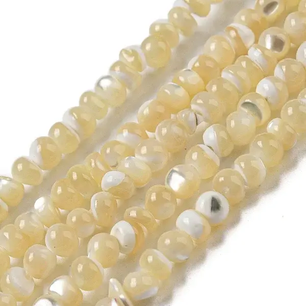 Natural Trochus Shell Beads Strands