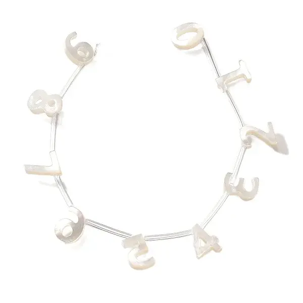 10Pcs 10 Styles Natural Freshwater Shell Beads