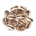 Electroplated Sea Shell Beads