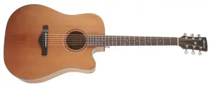 Ibanez AW65ECE Natural