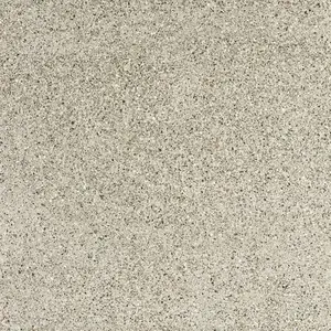 Dlažba Graniti Fiandre Il Veneziano argento 60x60 cm mat AS246X1060