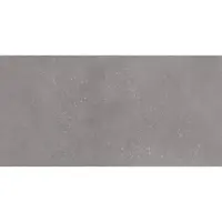 Obklad Rako Betonico sivá 30x60 cm mat WAKVK791.1