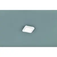 Reality Camillus led stropné osvetlenie biela re r62931001 RER62931001