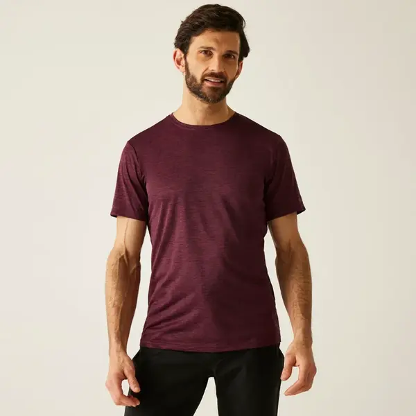 Pánské tričko regatta fingal editon vínová 3xl