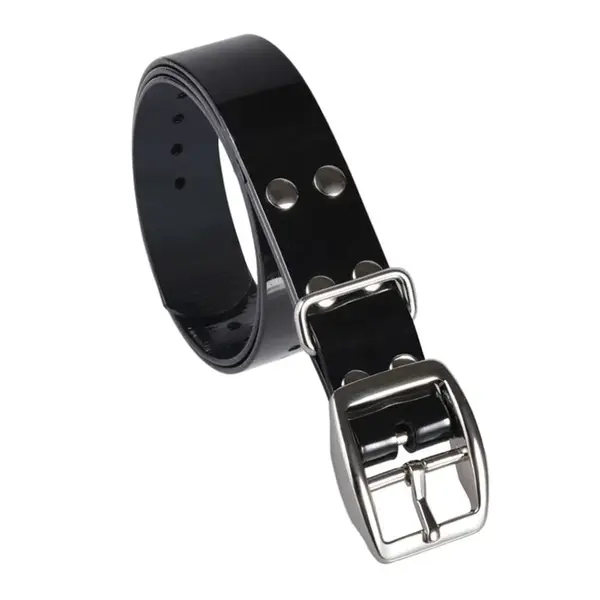 Plastový obojek Reedog 2,5 cm | P47883