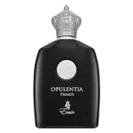 Emir Opulentia Primus parfémovaná voda pro muže 100 ml