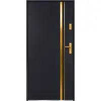 Vchodové dveře Aion S68 90L Zlatý dub