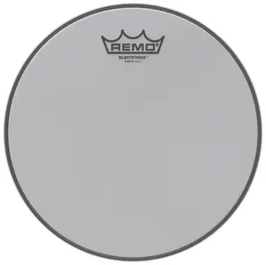 Remo 10" SilentStroke