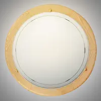 Stropní svítidlo Ufo 5411 S D30 PL1