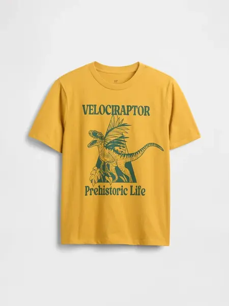 GAP Dětské tričko - Kluci