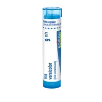 Boiron IRIS VERSICOLOR CH9 granule 4 g