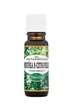 Saloos Esenciální olej Meduňka s citronelou 10 ml