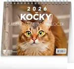NOTIQUE Stolní kalendář Kočky – se jmény koček 2026, 16,5 x 13 cm