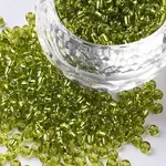 8/0 Glass Seed Beads