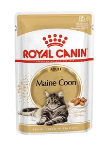 Royal Canin Maine Coon Adult kapsička 85 g