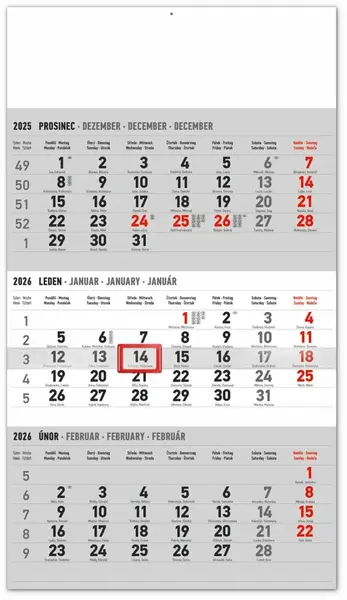 Kalendář 2026 nástěnný: 3měsíční standard šedý - s českými jmény, 29,5 x 43 cm