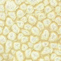 Barva Pébéo Fantasy Prisme 45ml – 20 Eggshell white