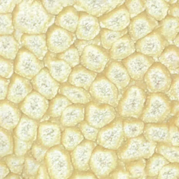 Barva Pébéo Fantasy Prisme 45ml – 20 Eggshell white