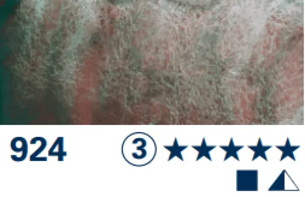 SG akvarelová barva Horadam 1/2 – 924 desert green