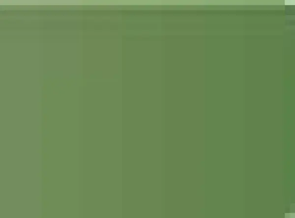 Pastel Caran d'Ache Neocolor II 212 Chromium oxide green