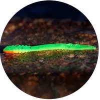 Redbass gumová nástraha micro tail fluo green rh uv color - xs 35 mm