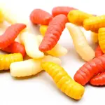 Enterprise imitace červů a larev červ vlasové rovnátko 20ks