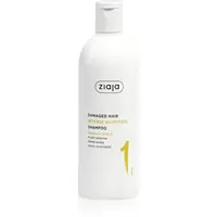 Ziaja Plant Essentials Banana Flower vyživujúci šampón pre poškodené vlasy 400 ml