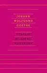 Utrpení mladého Werthera - Johann Wolfgang Goethe - e-kniha