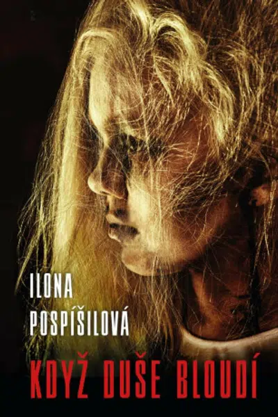 Když duše bloudí - Ilona Pospíšilová