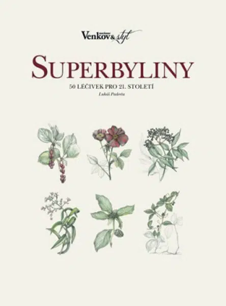 Superbyliny - 50 léčivek pro 21. století - Paderta Lukáš