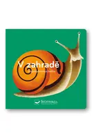 V zahradě - rozpohybovaná kniha  Kolektiv, ilustrace Amélie Faliére - Amélie Faliére