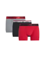 Nike trunk 3pk-everyday cotton stretch L