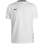 PUMA Funkčné tričko 'Team Cup'  sivá / čierna / biela