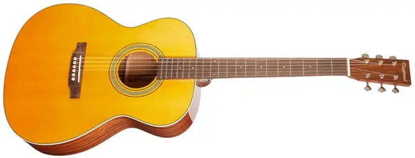 Tanglewood TW40OANE